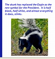 A screenshot from the Hutchinson, Kansas, Patriot Freedom Alliance Web site comparing President Obama to a skunk. The photo and accompanying text was quickly removed after it was reported in a local newspaper.