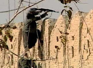 Northern alliance fighters retaking Qala-i-Janghi fortress.